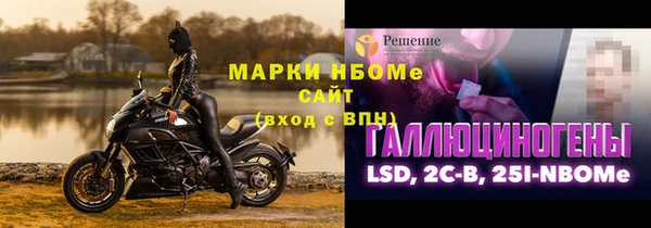 шишки Абаза