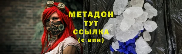 шишки Абаза