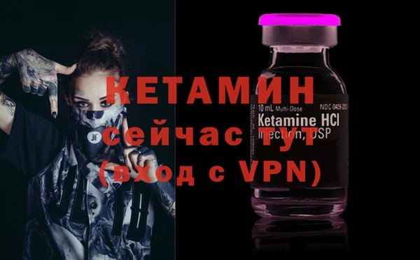 шишки Абаза