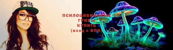 шишки Абаза