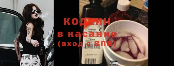 шишки Абаза