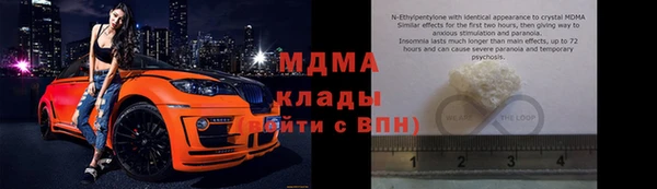 шишки Абаза
