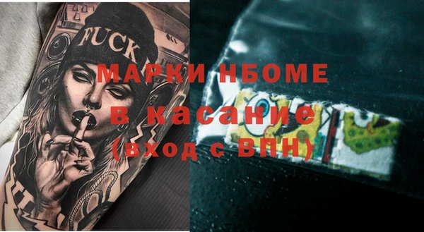 шишки Абаза