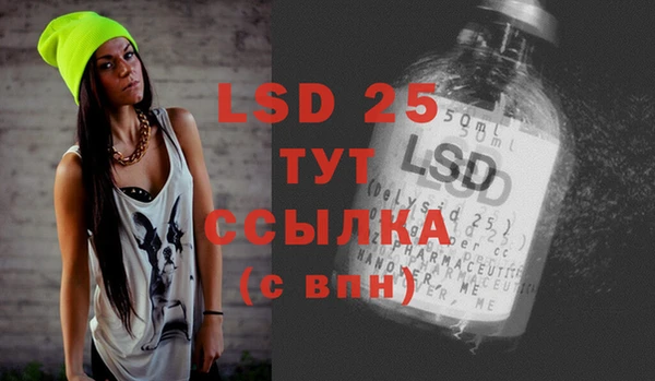 шишки Абаза