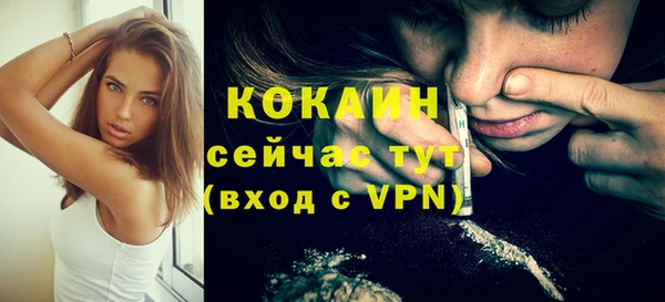 шишки Абаза