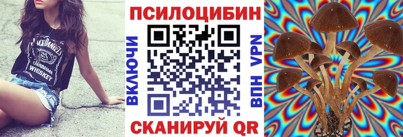 наркота  Урень  Псилоцибиновые грибы мухоморы 